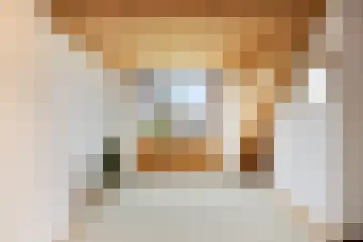 Munnikenakker 22 Mierlo thumbnail 43