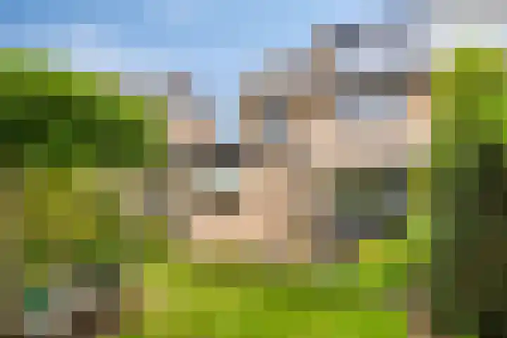 Munnikenakker 22 Mierlo thumbnail 46