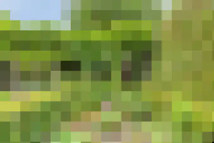 Munnikenakker 22 Mierlo thumbnail 47