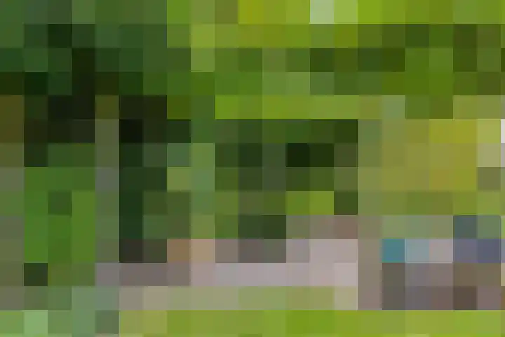 Munnikenakker 22 Mierlo thumbnail 48