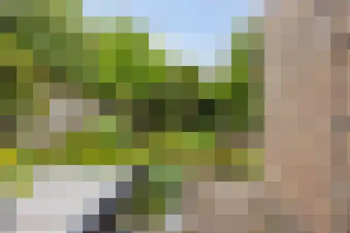 Munnikenakker 22 Mierlo thumbnail 49