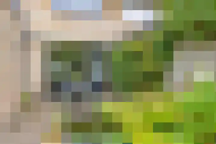 Munnikenakker 22 Mierlo thumbnail 50
