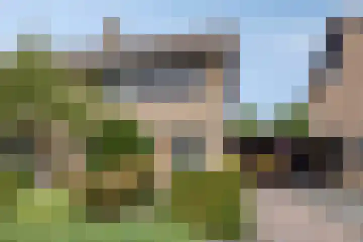 Munnikenakker 22 Mierlo thumbnail 7