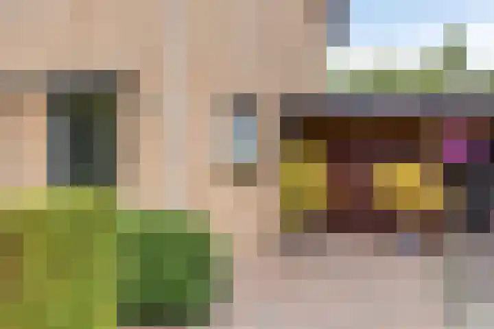 Munnikenakker 22 Mierlo thumbnail 9