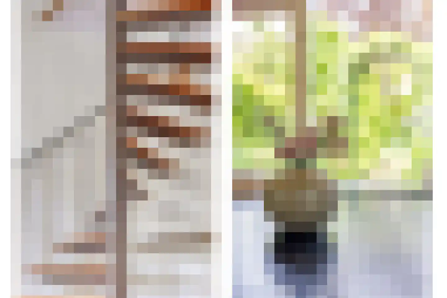 Munnikenakker 6 Mierlo thumbnail 10
