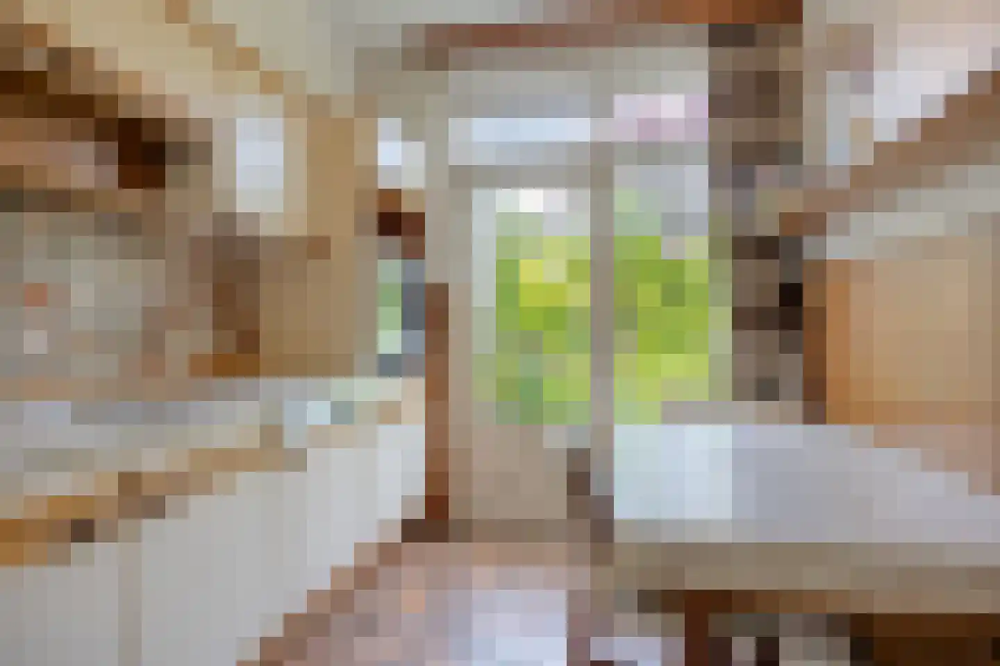 Munnikenakker 6 Mierlo thumbnail 13