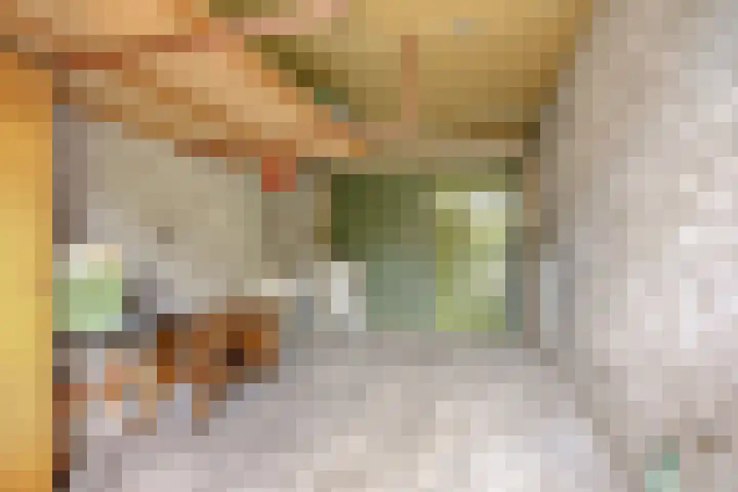 Munnikenakker 6 Mierlo thumbnail 15