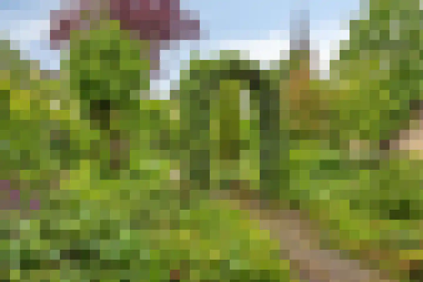 Munnikenakker 6 Mierlo thumbnail 18