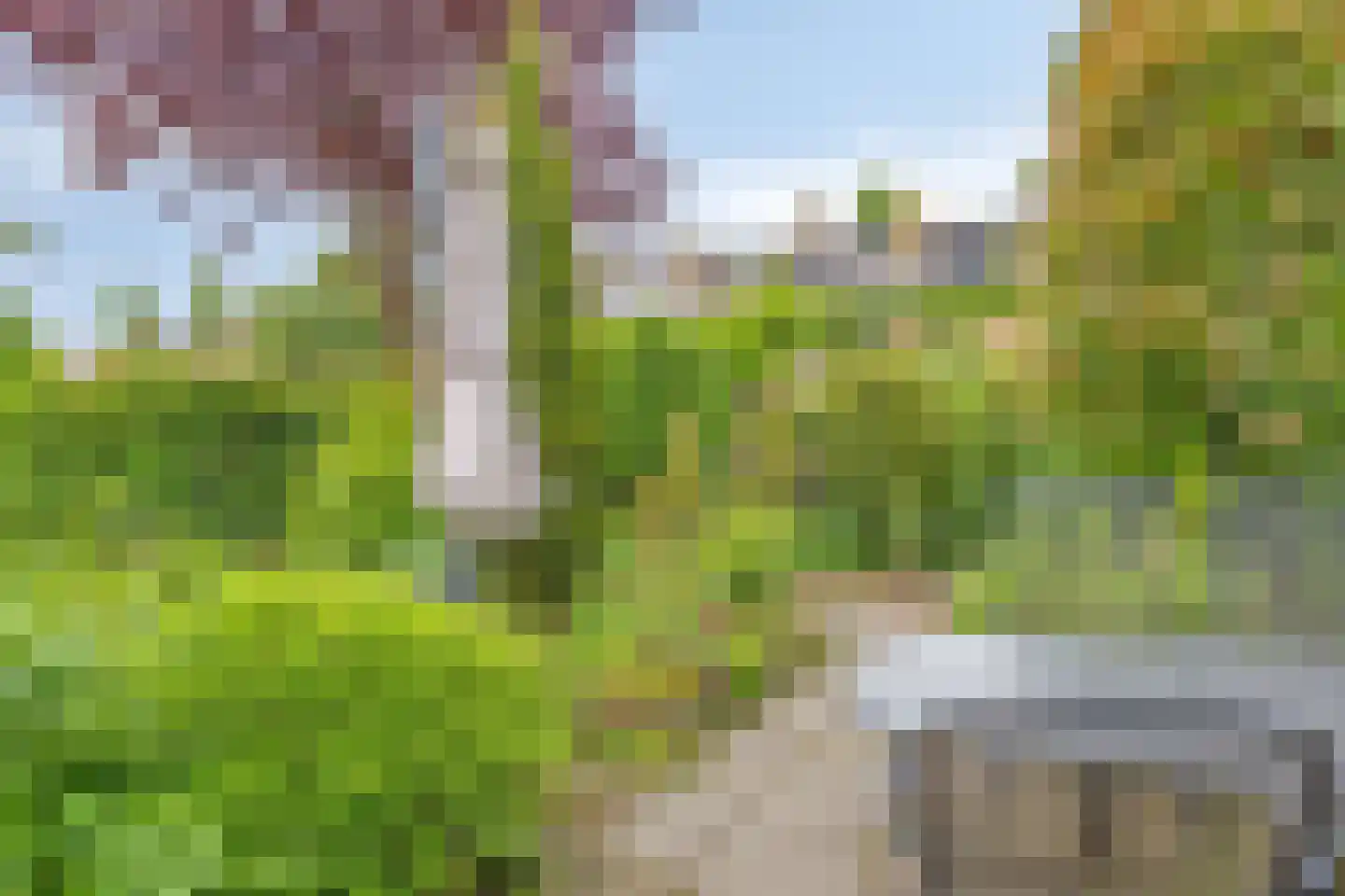 Munnikenakker 6 Mierlo thumbnail 19