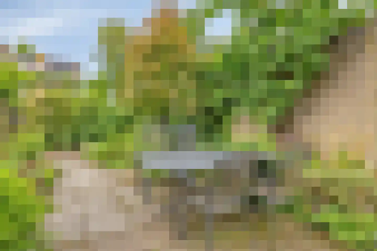 Munnikenakker 6 Mierlo thumbnail 20