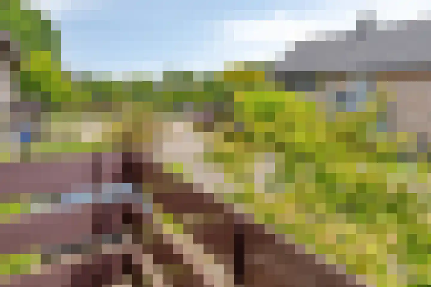 Munnikenakker 6 Mierlo thumbnail 38