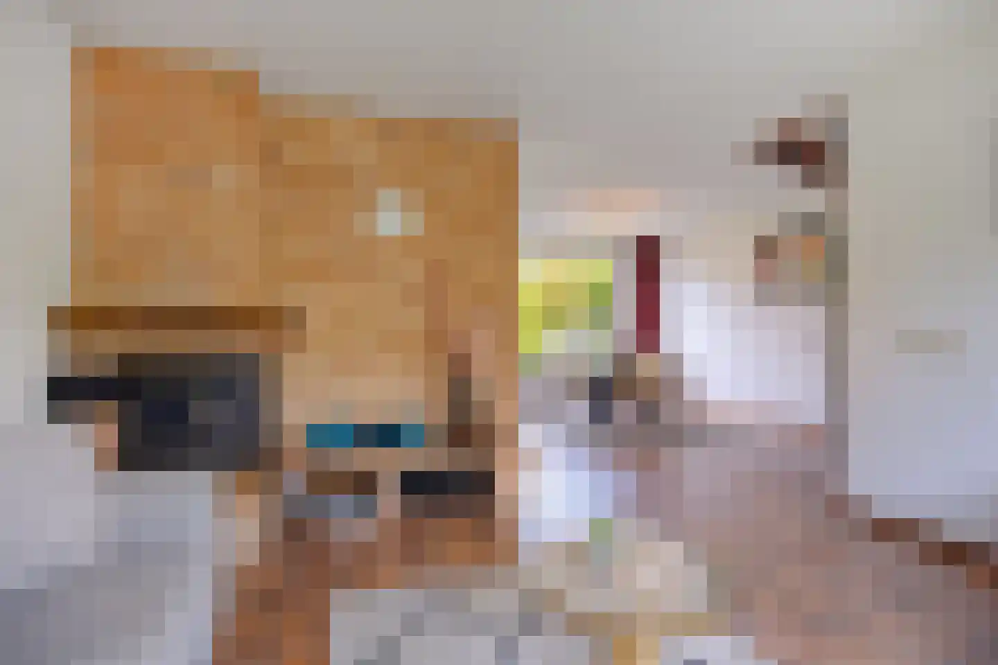 Munnikenakker 6 Mierlo thumbnail 5