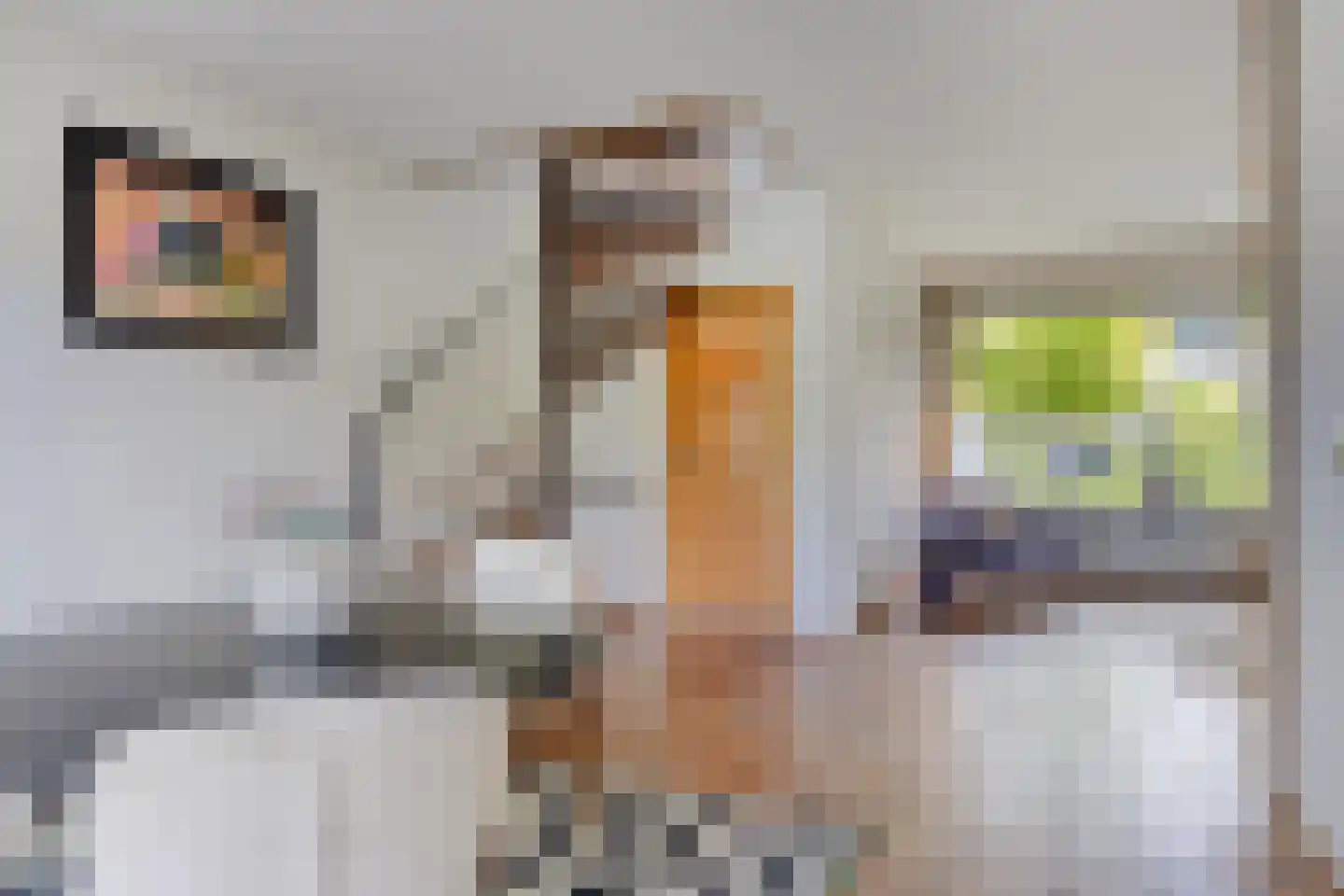 Munnikenakker 6 Mierlo thumbnail 8