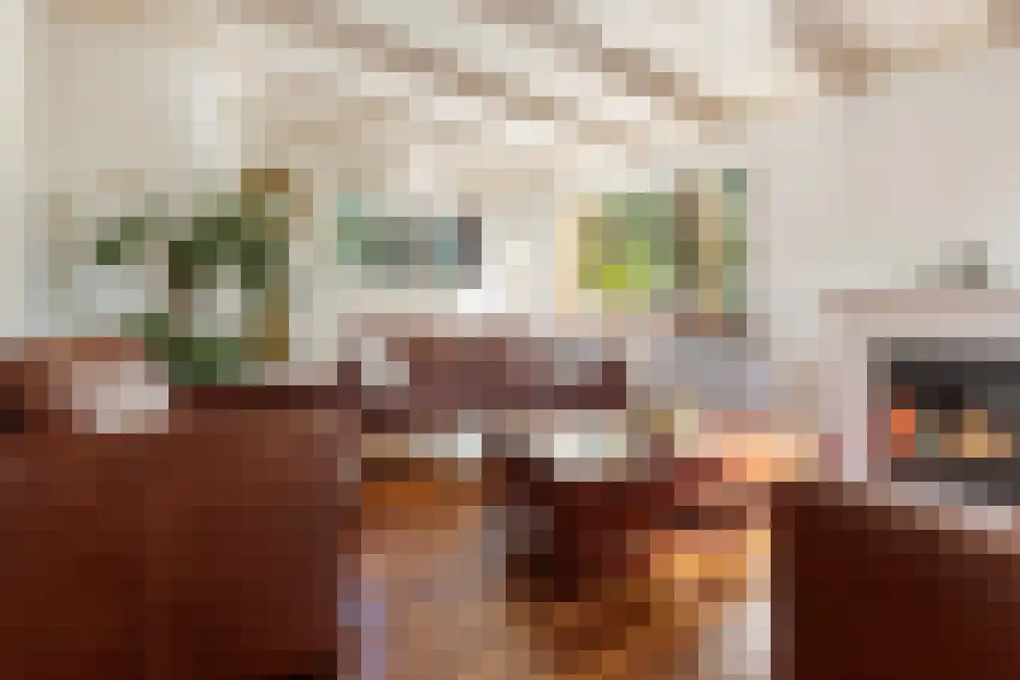 Munnikendijk 10 Westmaas thumbnail 13