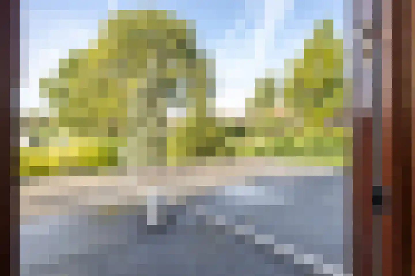Munnikendijk 10 Westmaas thumbnail 33