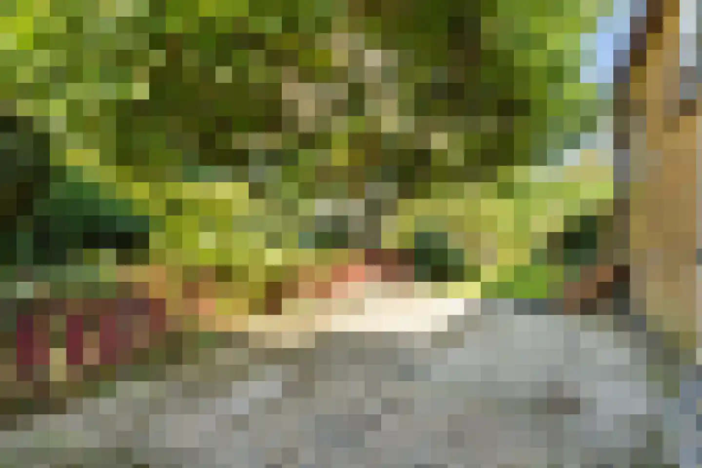 Munnikendijk 10 Westmaas thumbnail 36