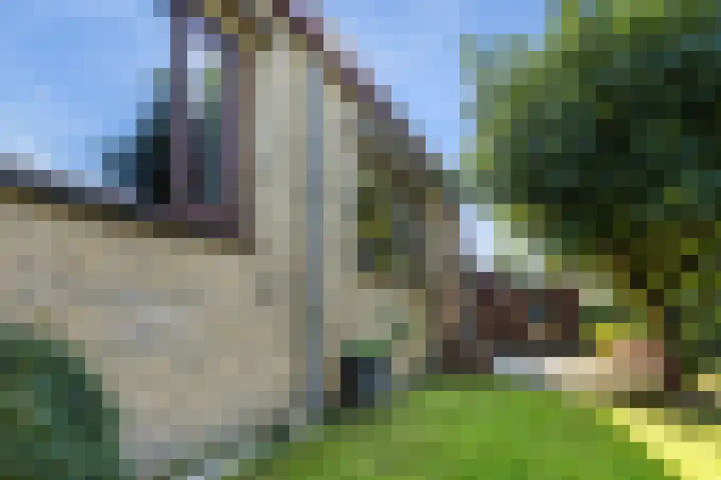 Munnikendijk 10 Westmaas thumbnail 38