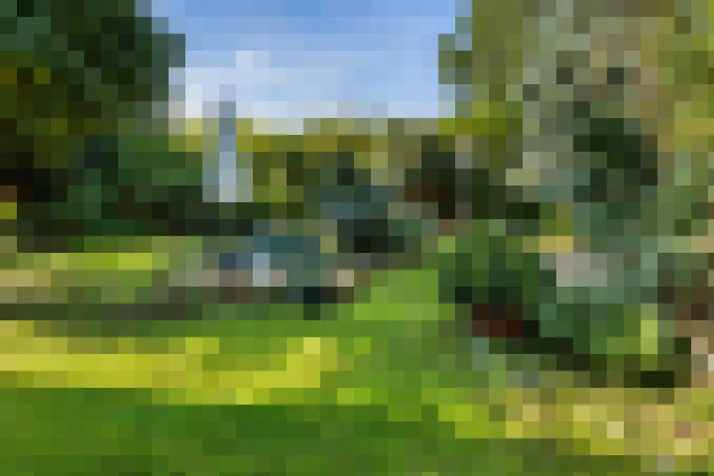 Munnikendijk 10 Westmaas thumbnail 41