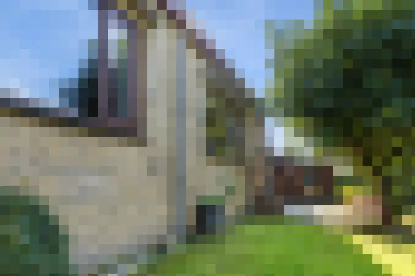 Munnikendijk 10 Westmaas thumbnail 83