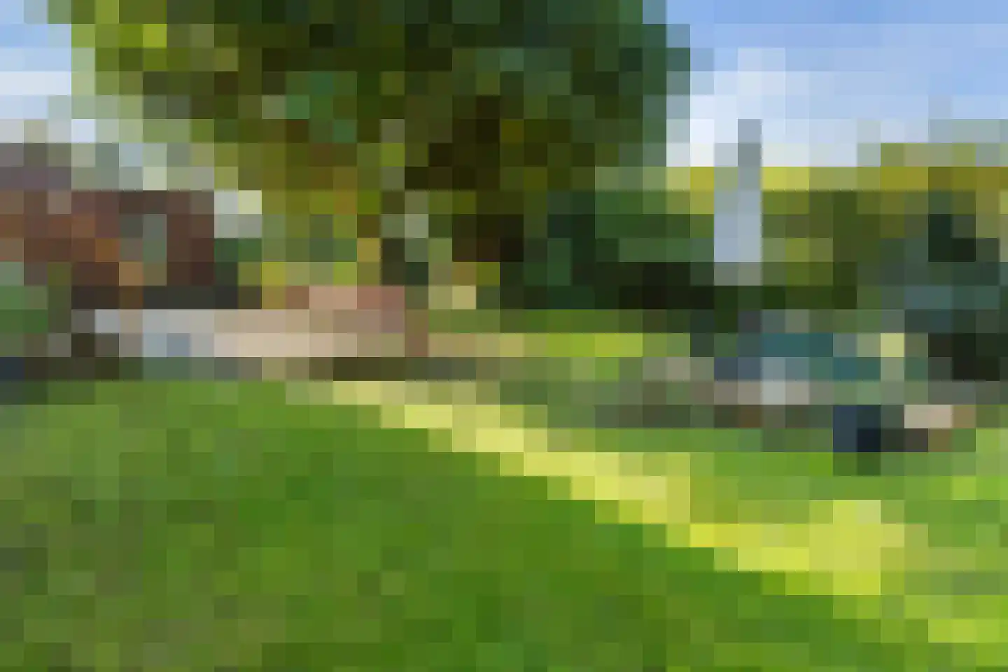 Munnikendijk 10 Westmaas thumbnail 85