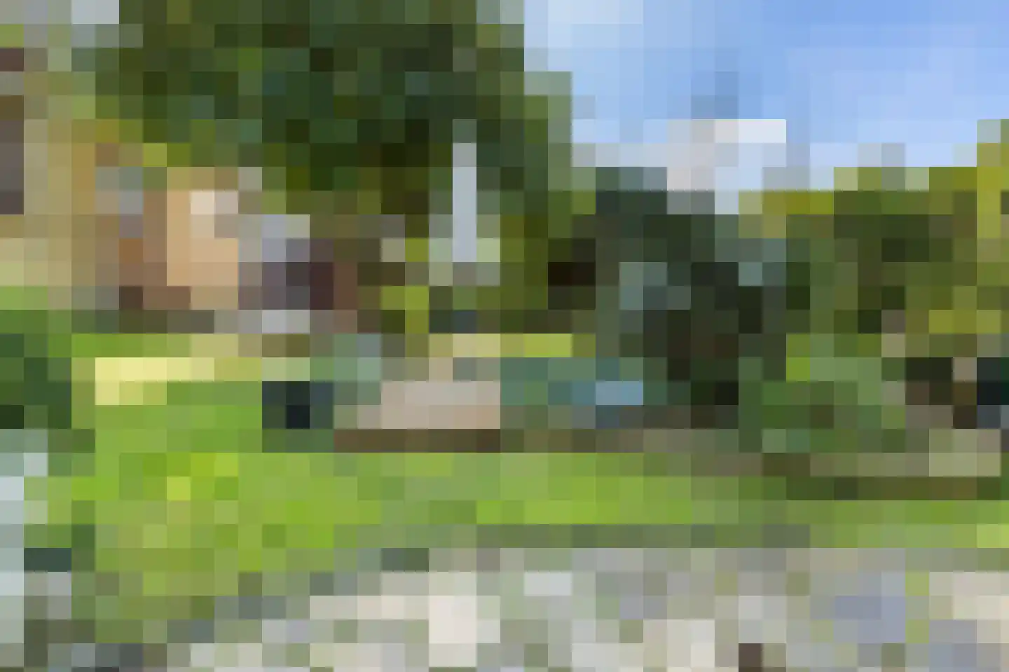 Munnikendijk 10 Westmaas thumbnail 86