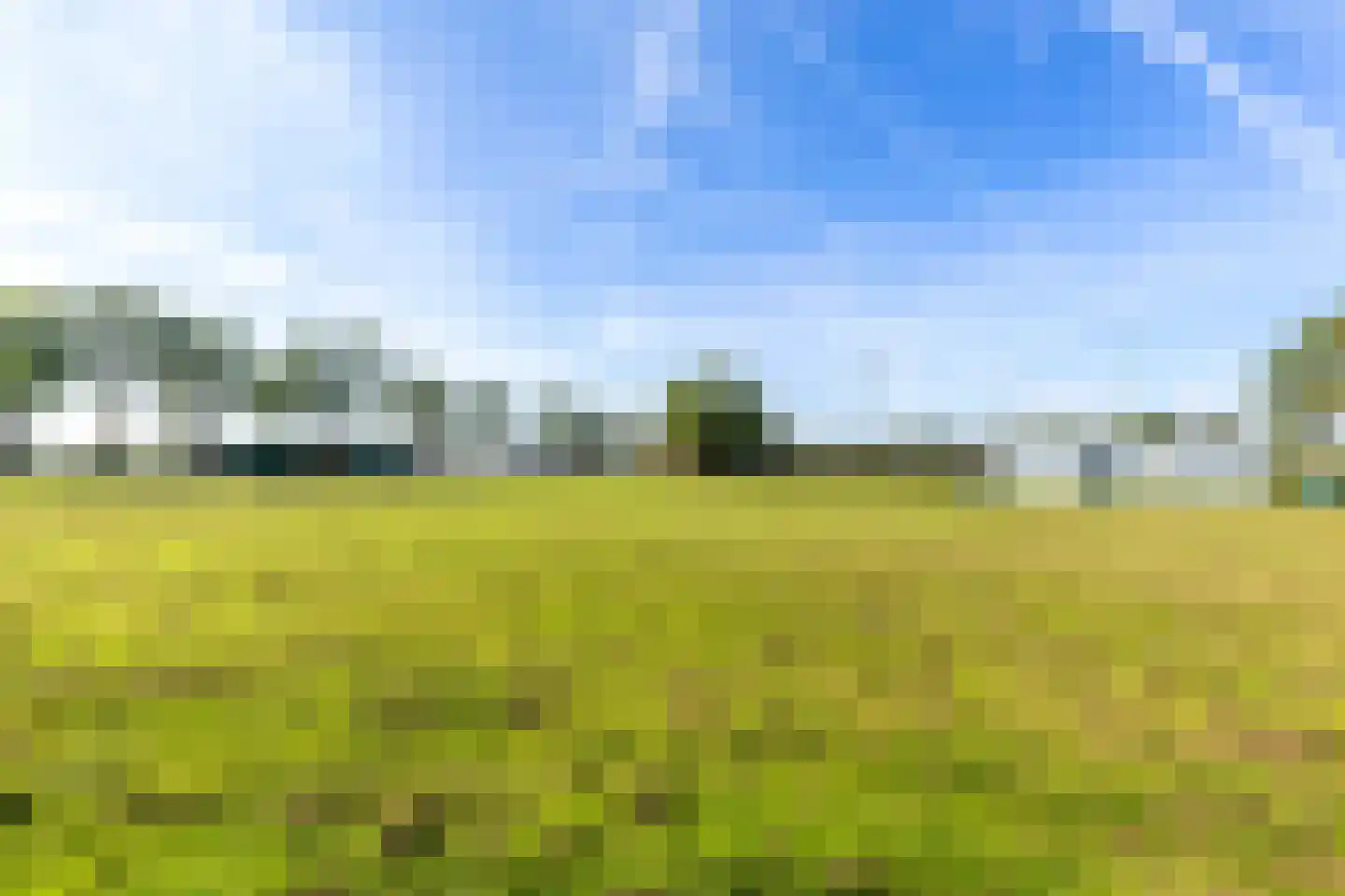 Munnikendijk 10 Westmaas thumbnail 89