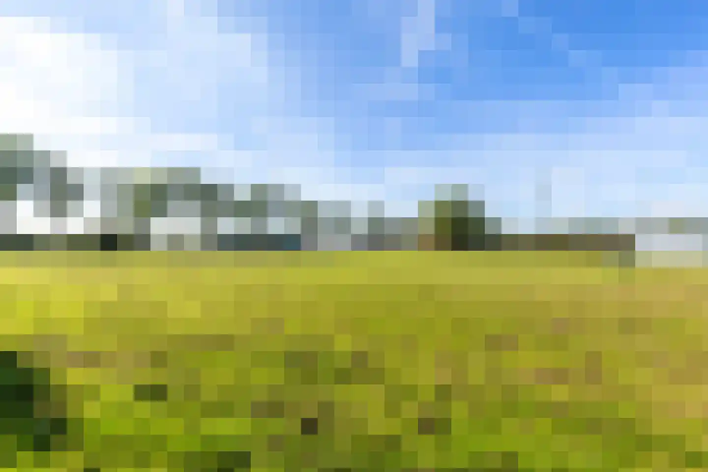 Munnikendijk 10 Westmaas thumbnail 90
