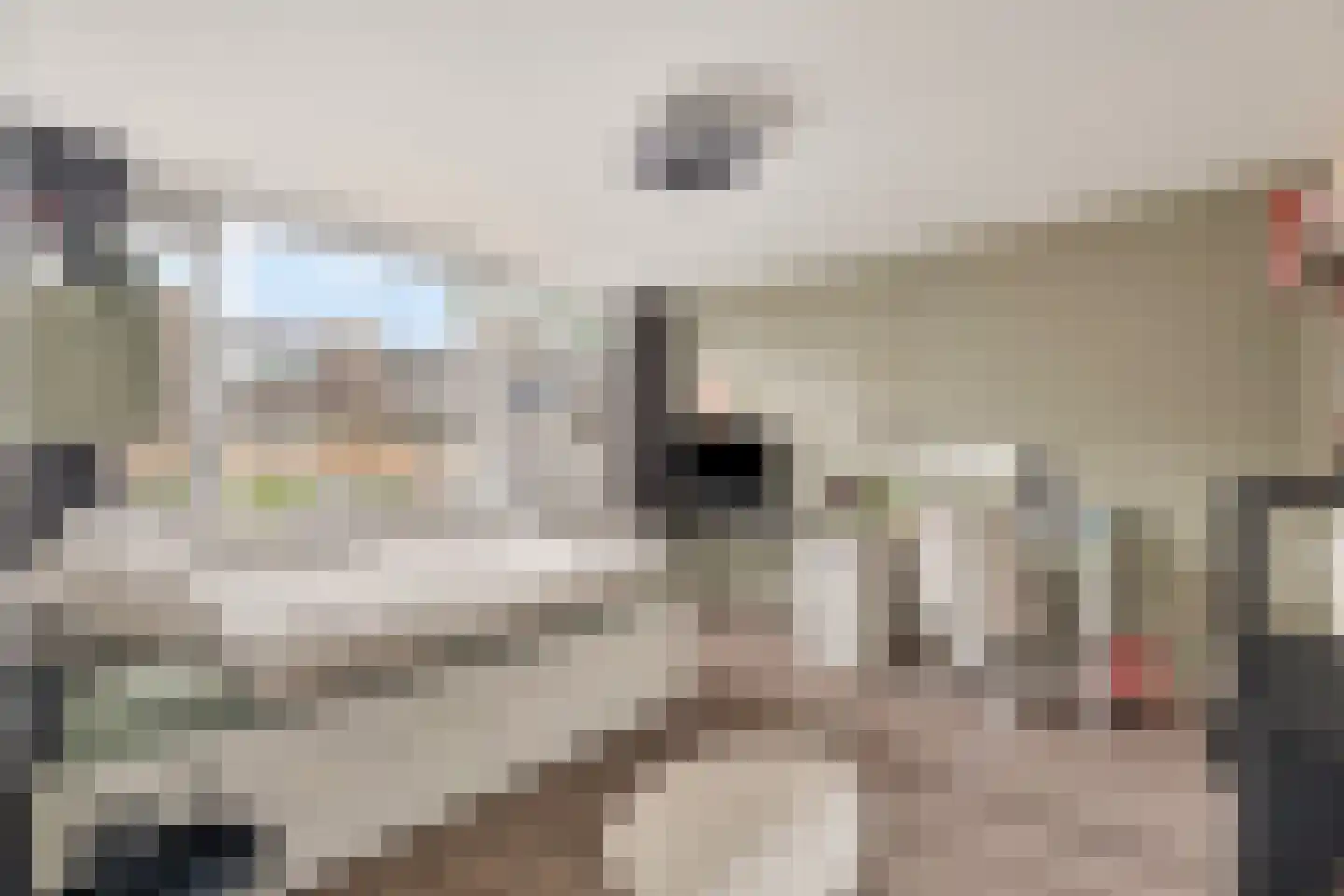 Munnikendijk 21 Westmaas thumbnail 18