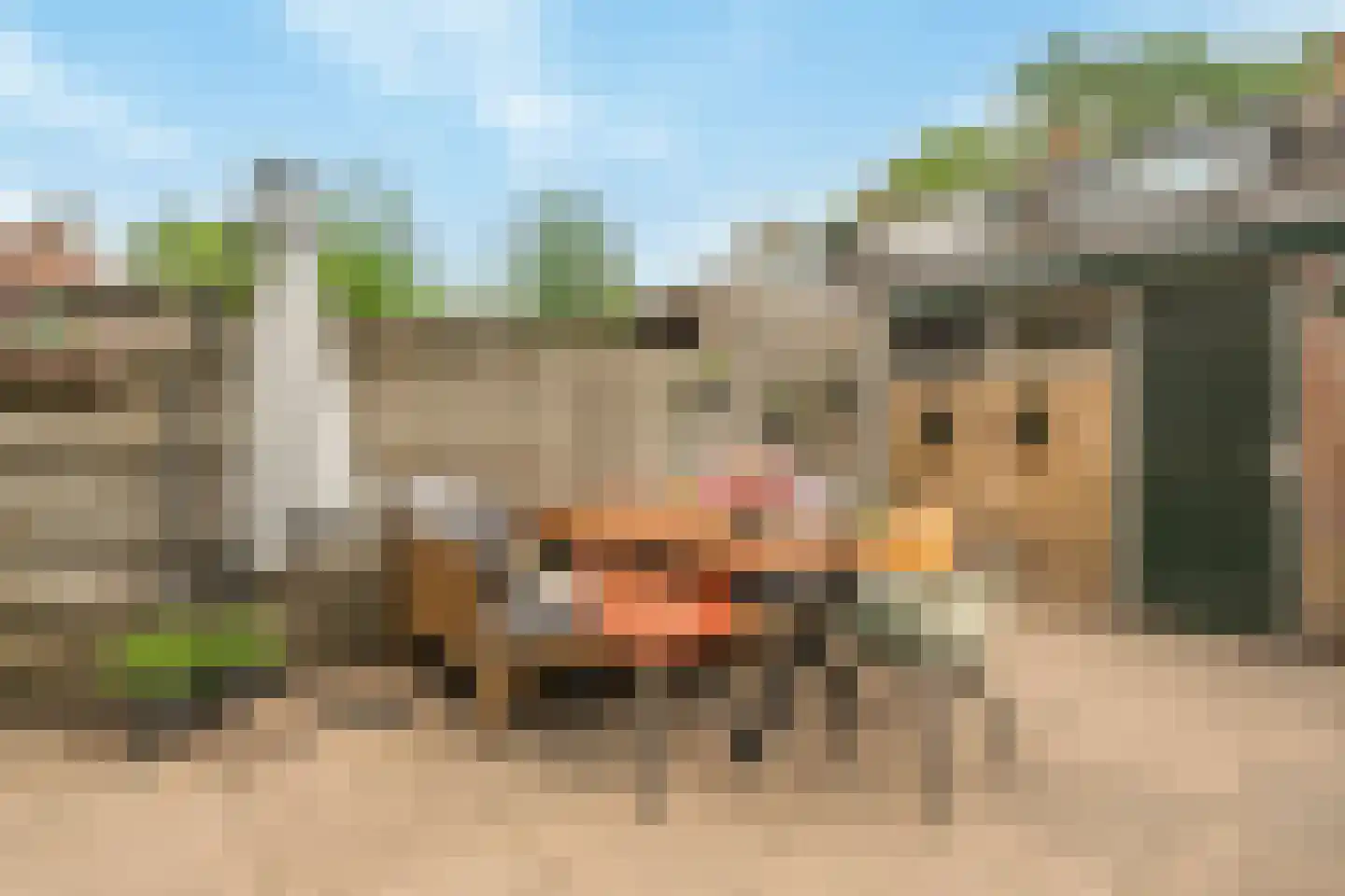 Munnikendijk 21 Westmaas thumbnail 32
