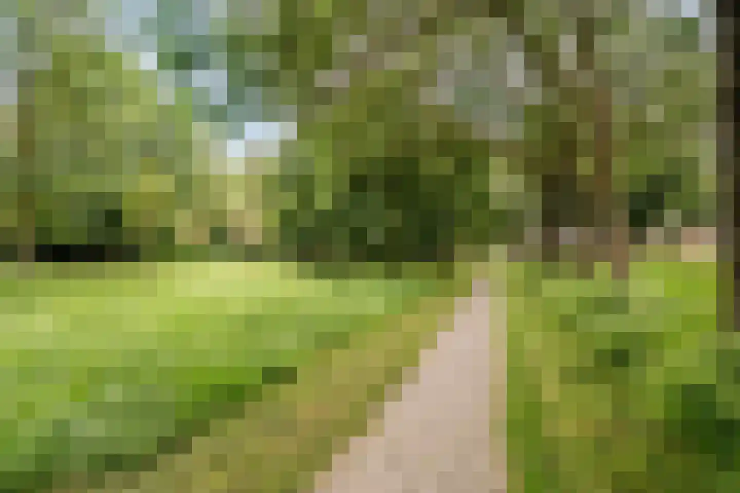 Munnikendijk 21 Westmaas thumbnail 35