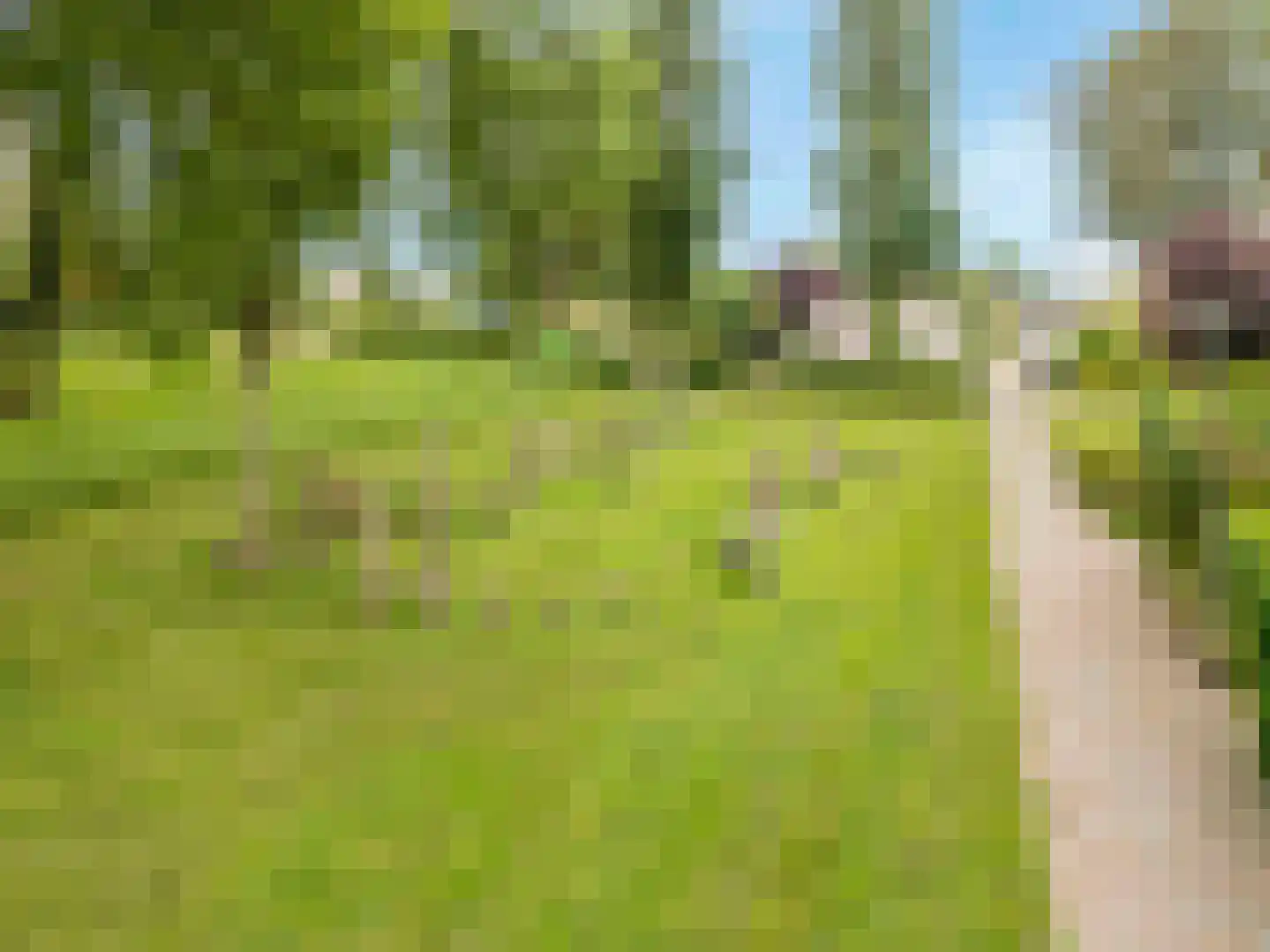 Munnikendijk 21 Westmaas thumbnail 36