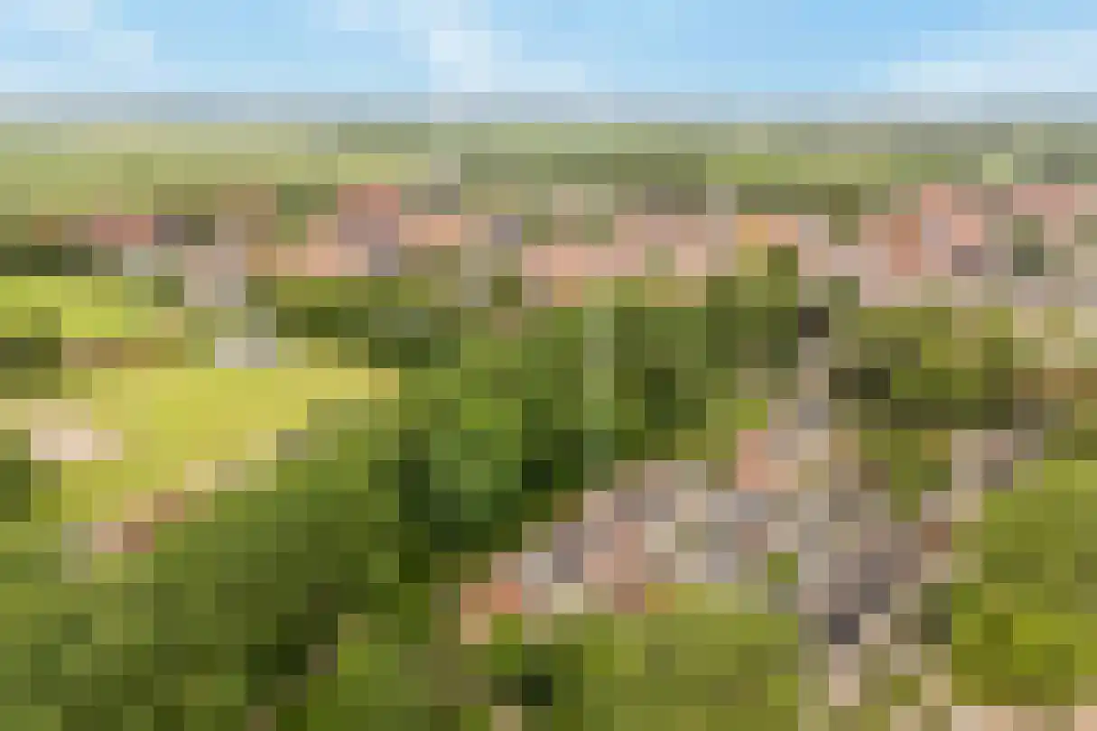 Munnikendijk 21 Westmaas thumbnail 37
