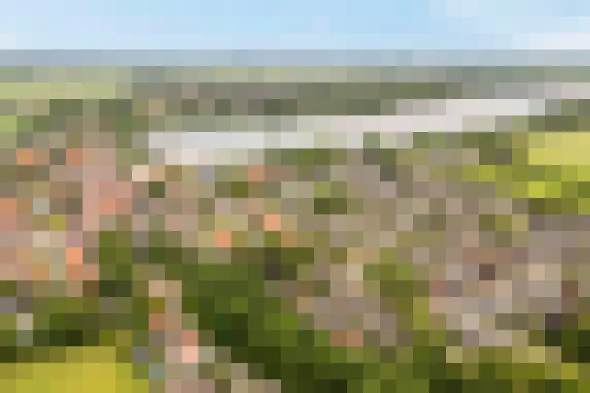 Munnikendijk 21 Westmaas thumbnail 38