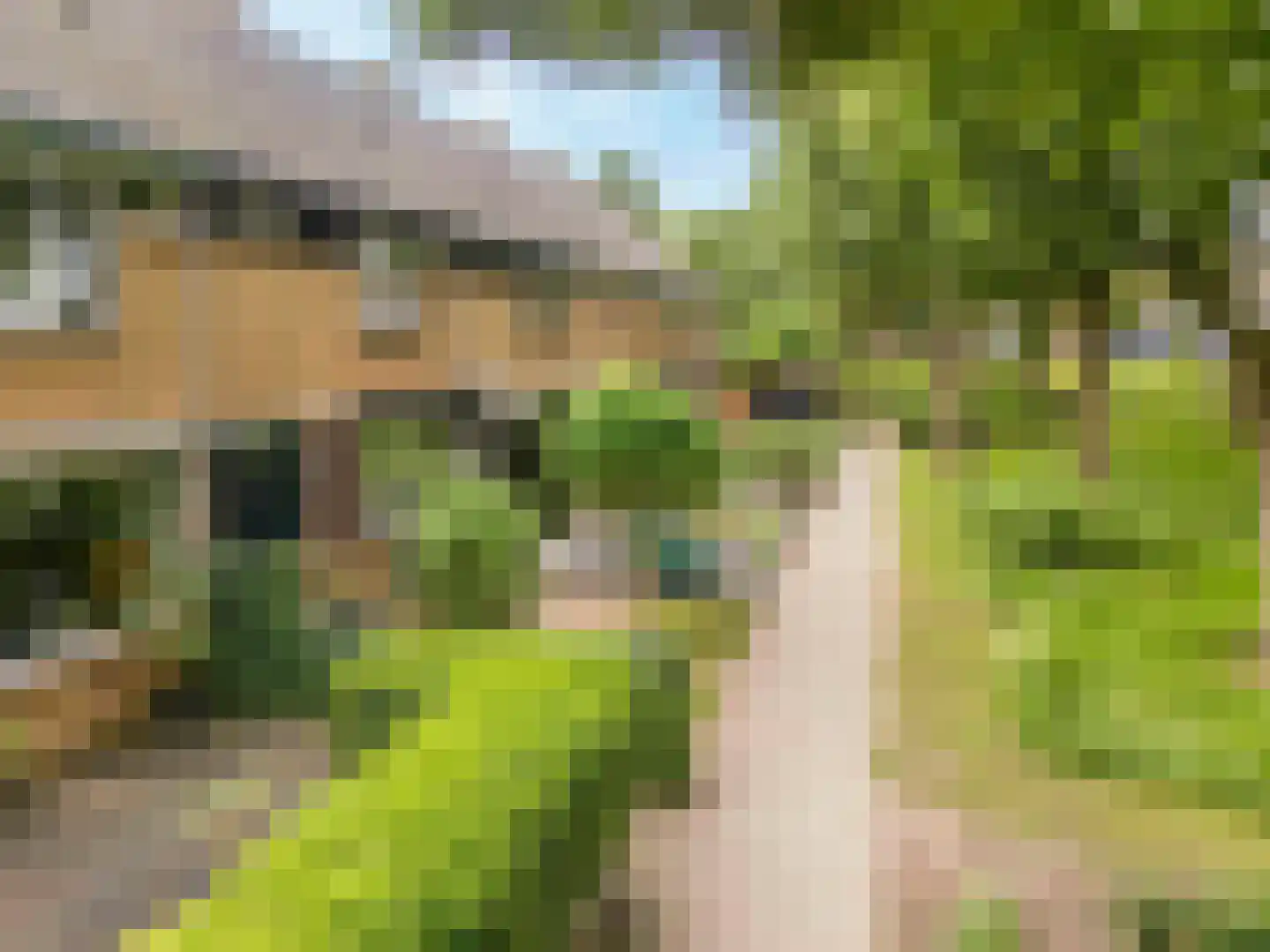 Munnikendijk 21 Westmaas thumbnail 5