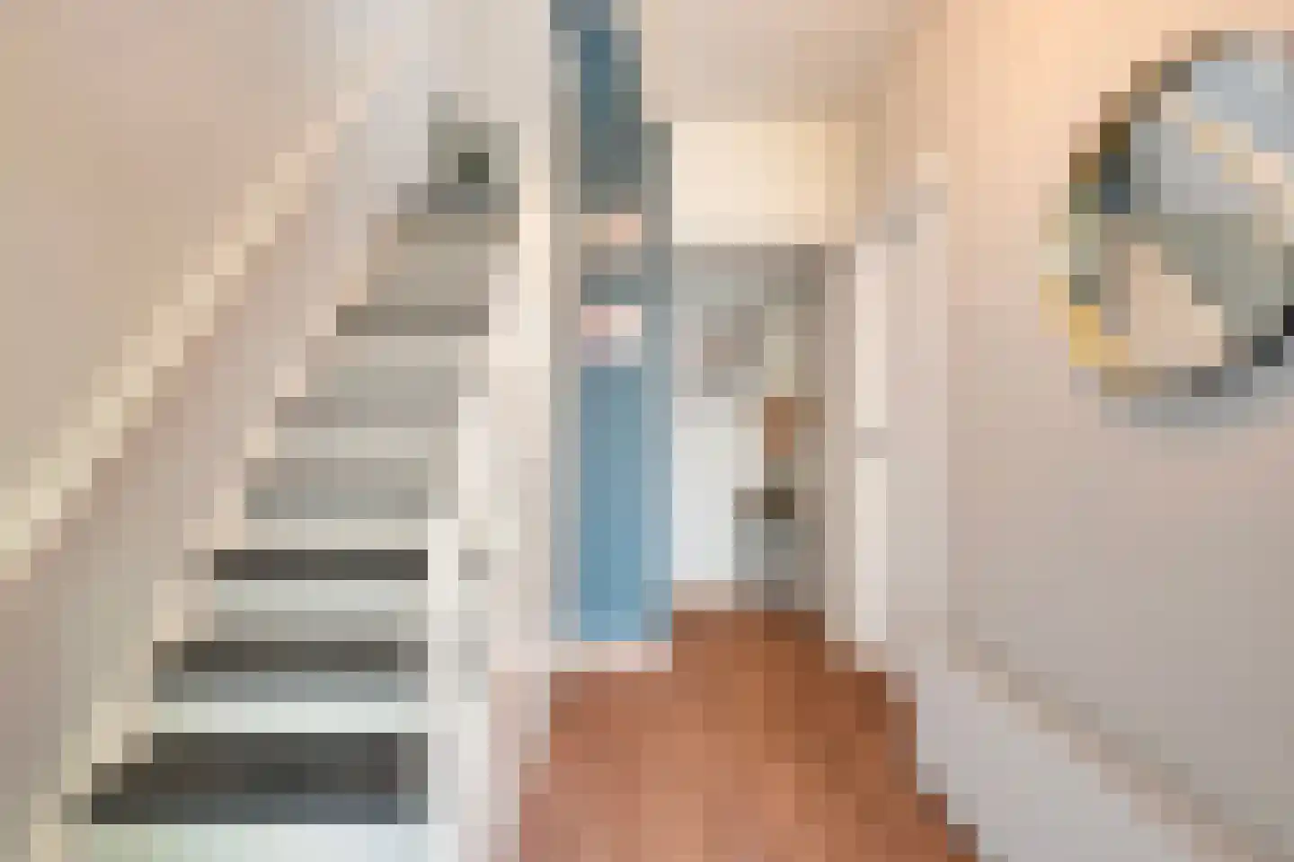 Munnikendijk 21 Westmaas thumbnail 8