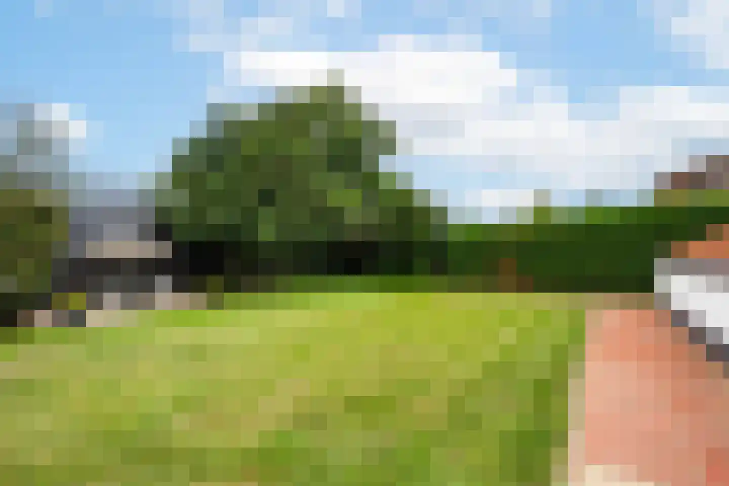 Munnikendijk 34 Kerk-Avezaath thumbnail 33