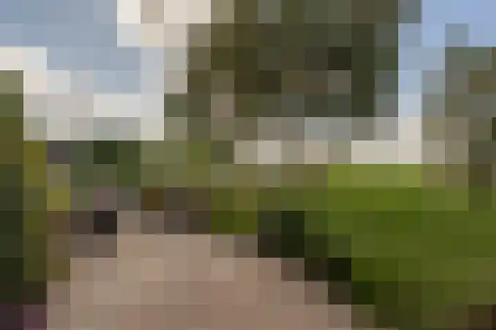 Munnikendijk 58 Westmaas thumbnail 55