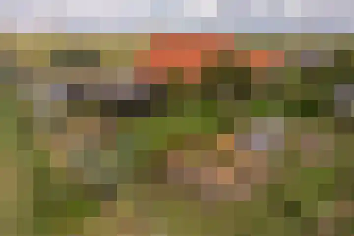 Munnikendijk 58 Westmaas thumbnail 8