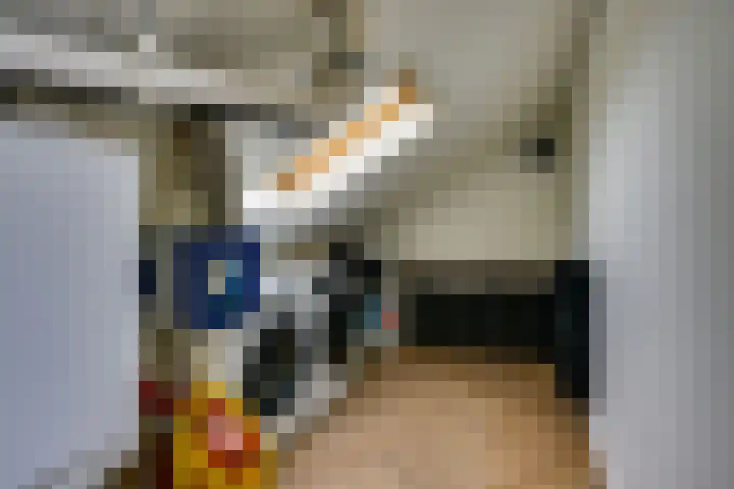 Munnikenhof 1 Sleeuwijk thumbnail 28