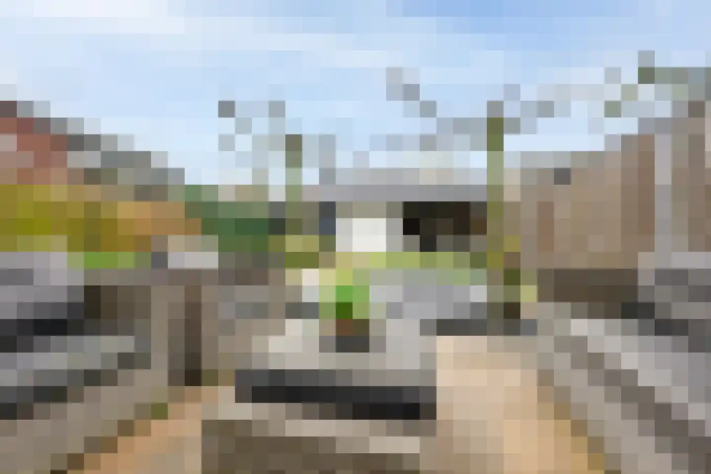Munnikenhof 1 Sleeuwijk thumbnail 32