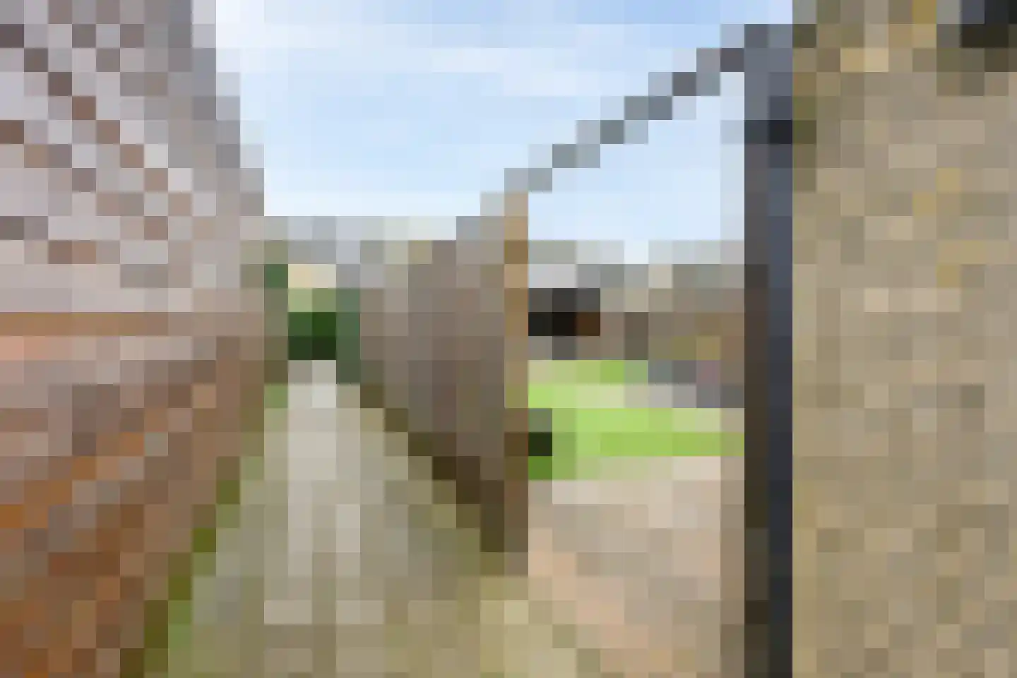 Munnikenhof 1 Sleeuwijk thumbnail 35