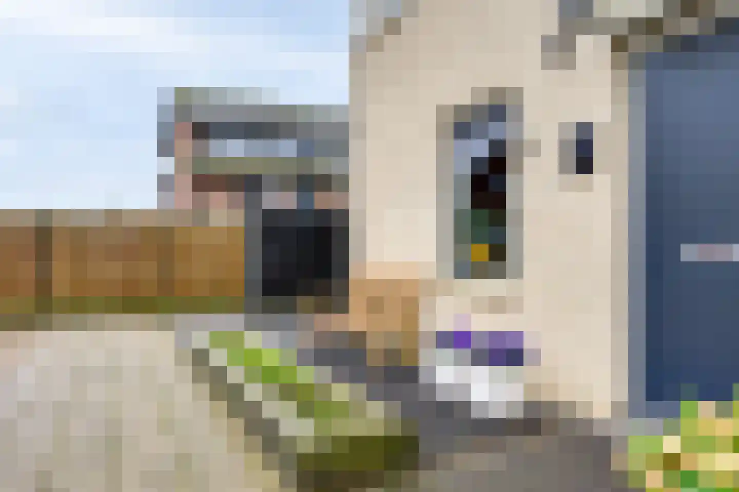 Munnikenhof 1 Sleeuwijk thumbnail 5