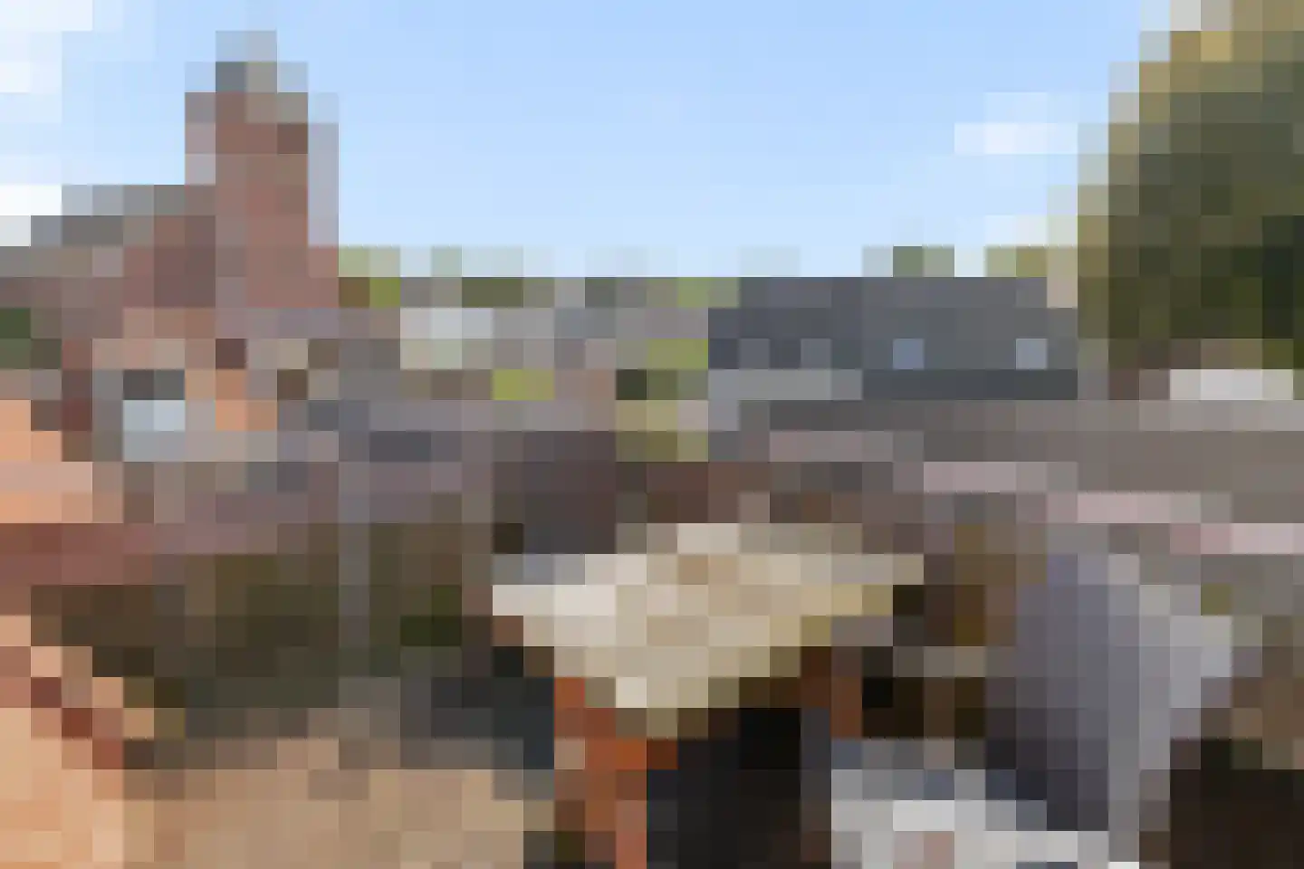Munnikenhof 29 Heino thumbnail 17