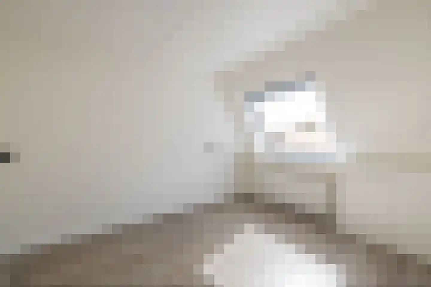 Munnikenhof 29 Heino thumbnail 9