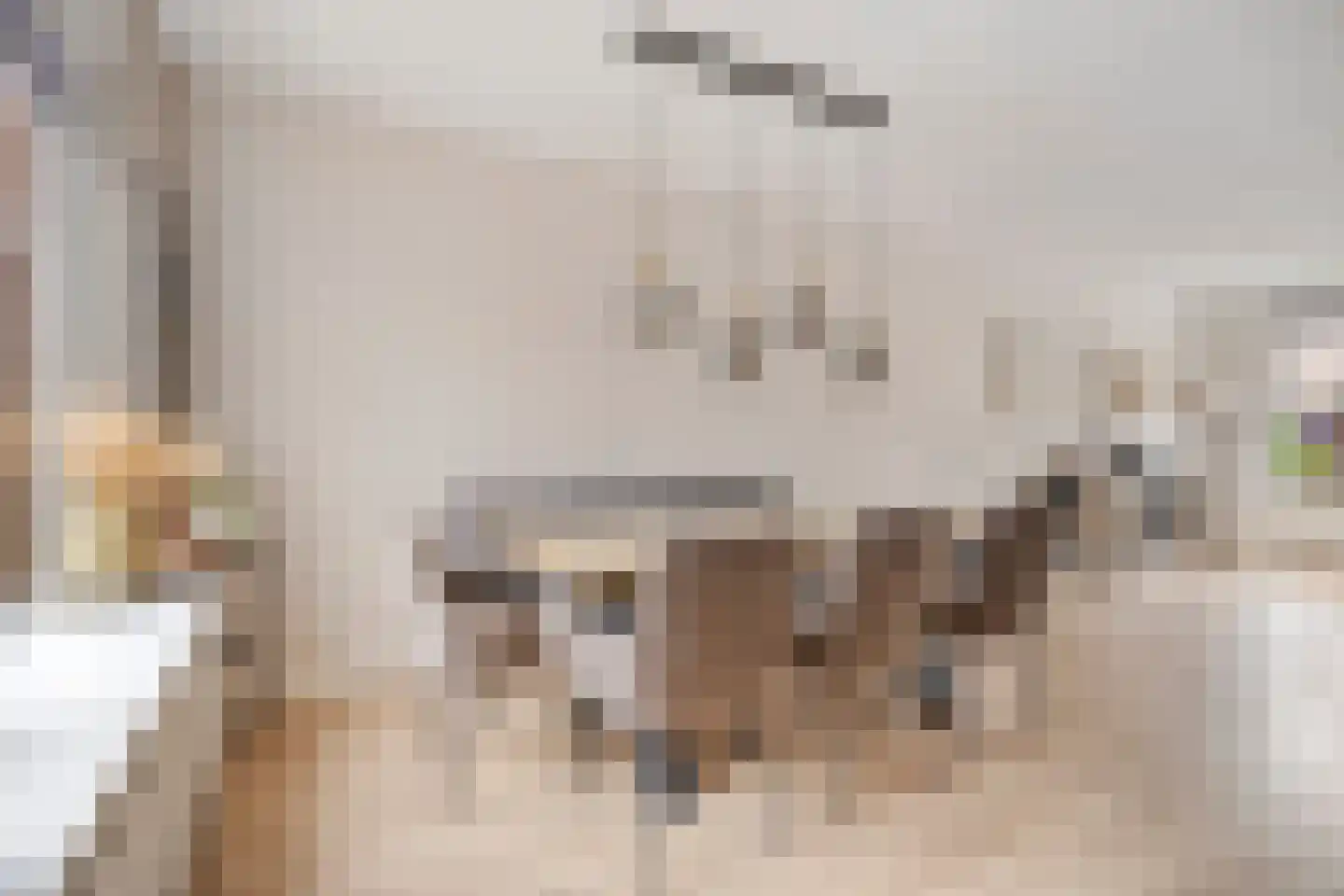 Munnikenland 17 Ruinerwold thumbnail 11