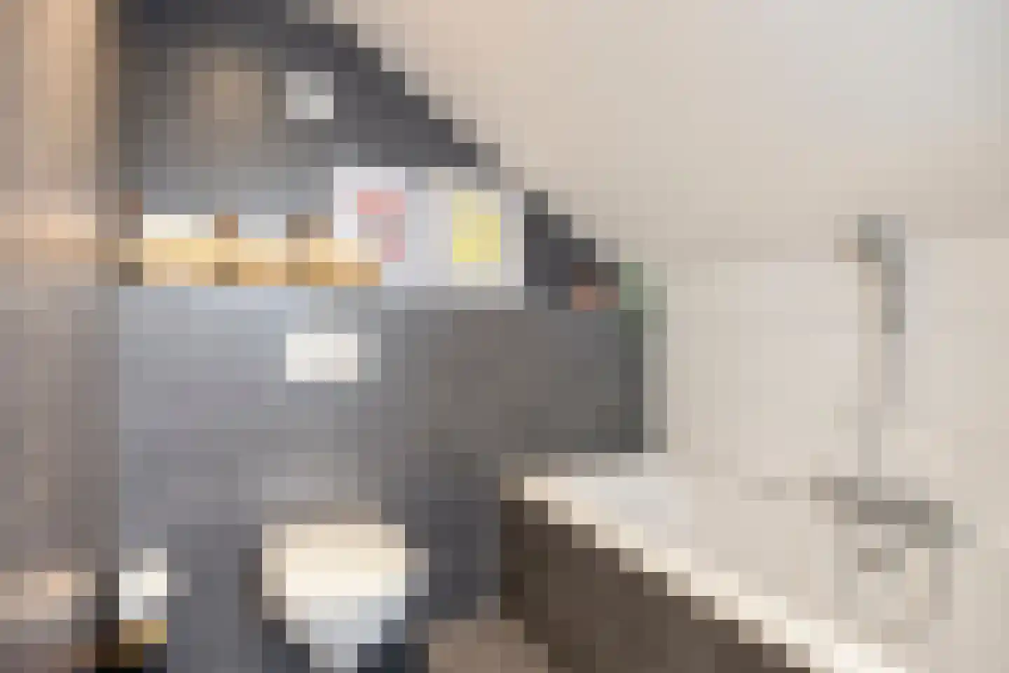 Munnikenland 17 Ruinerwold thumbnail 28