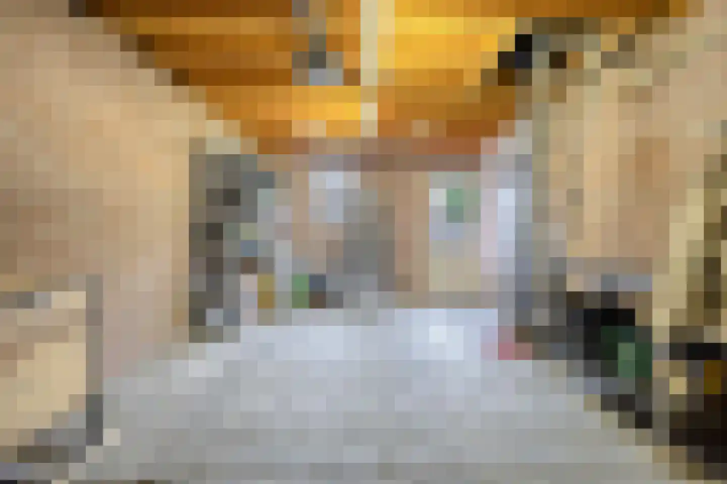 Munnikenland 17 Ruinerwold thumbnail 35