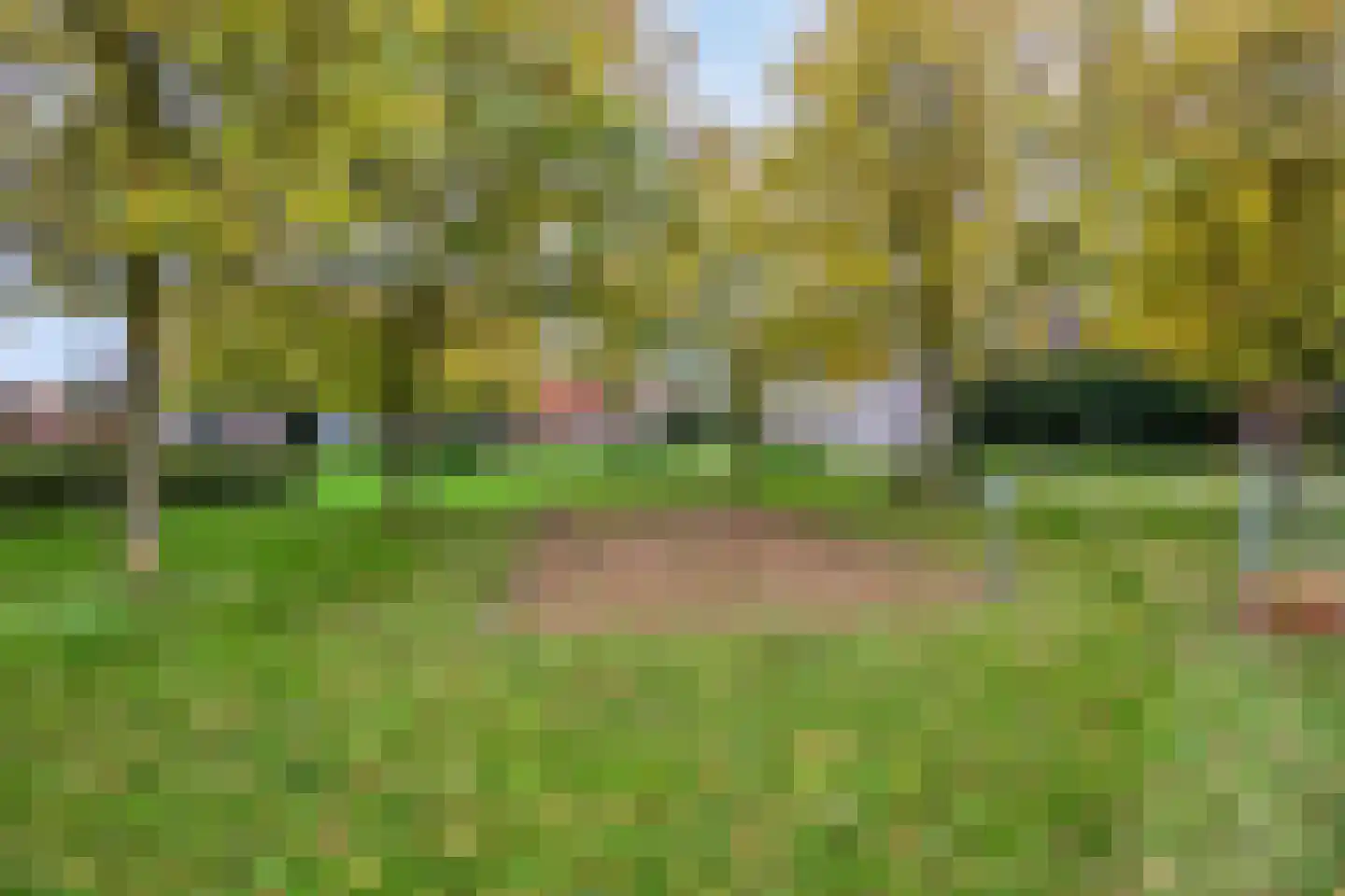 Munnikenland 17 Ruinerwold thumbnail 49