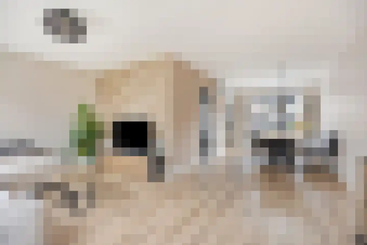 Munnikenland 17 Ruinerwold thumbnail 5