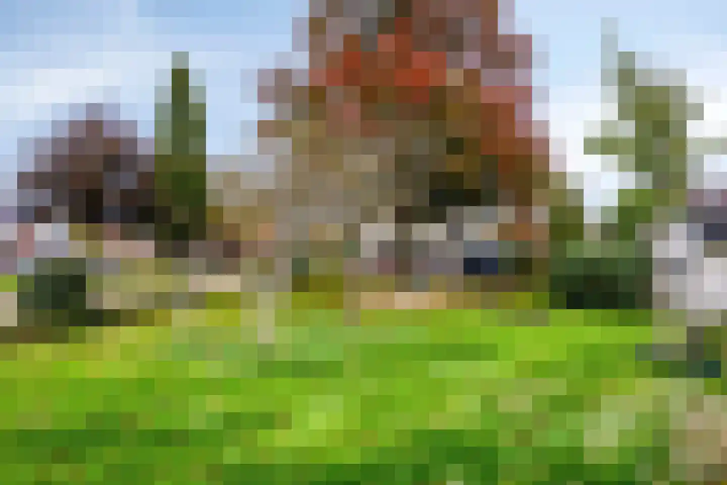 Munnikenland 17 Ruinerwold thumbnail 50